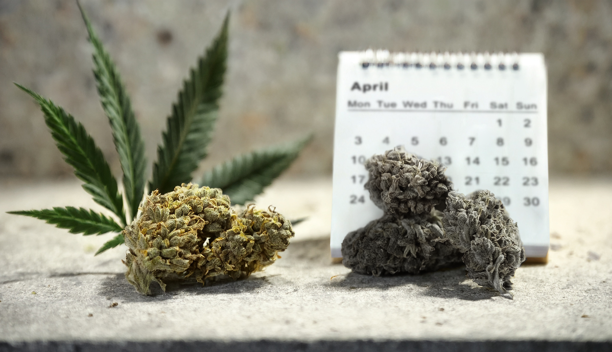 Tolerance Break Guide What Is a Tolerance Break? Puffco