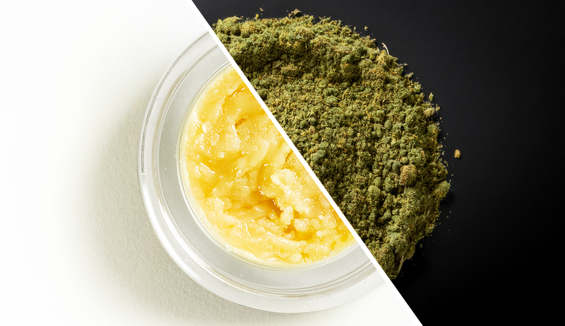 Concentrate vs. Flower: Which Is Better?