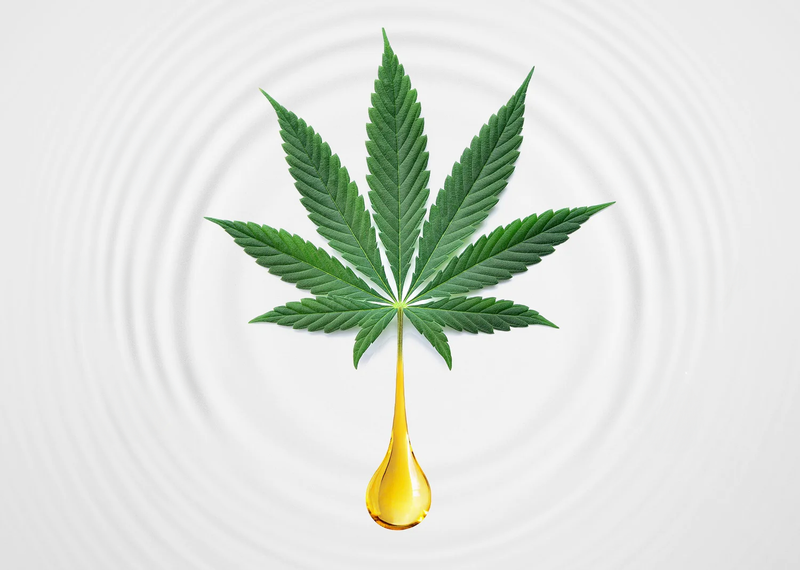 What Are Terpenes and Why Do Terpenes Matter?