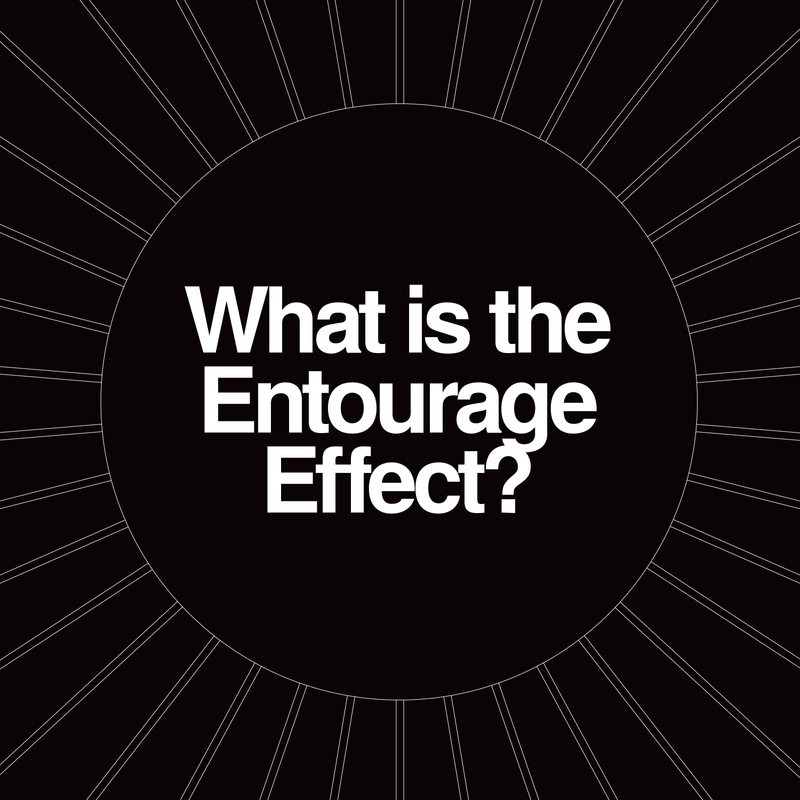 What Is The Entourage Effect?