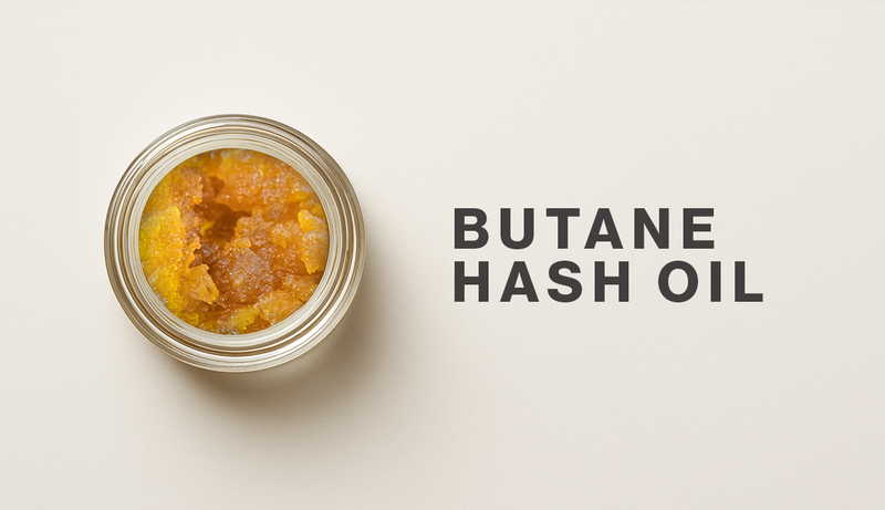 What is Butane Hash Oil (BHO)?