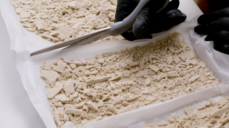 How is Hash Made & What Is Hashish Made Of?