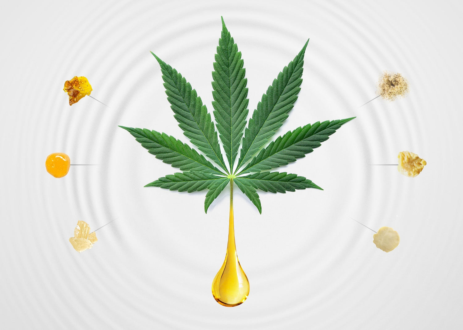 Dabbing 101 graphic with cannabis leaf surrounded by cannabis concentrates