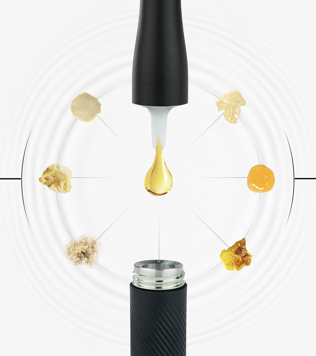 Hash starts here.