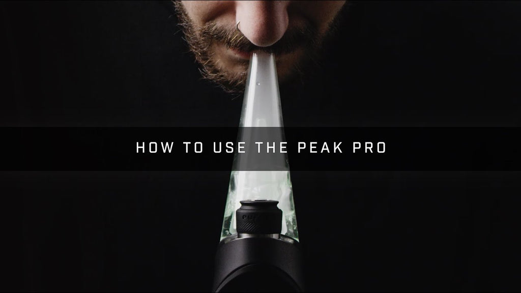 Puffco New Peak Pro – Got Vape