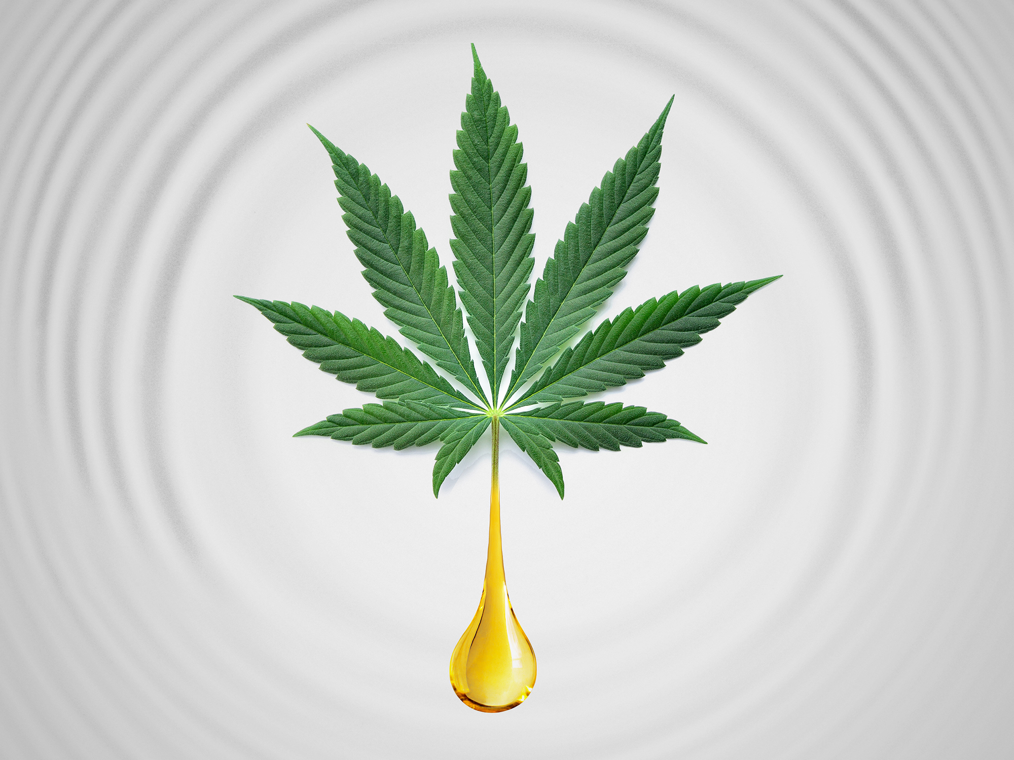 A graphic image representing cannabis concentrate being extracted from a cannabis leaf