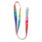 Lanyard