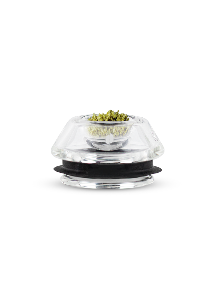 Front shot of dry herb bowl with herb in bowl against white backdrop